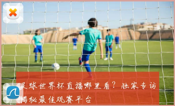 足球世界杯直播哪里看？独家专访揭秘最佳观赛平台